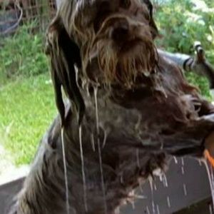 Meet your Posher, Jaimee